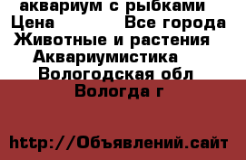 аквариум с рыбками › Цена ­ 1 000 - Все города Животные и растения » Аквариумистика   . Вологодская обл.,Вологда г.